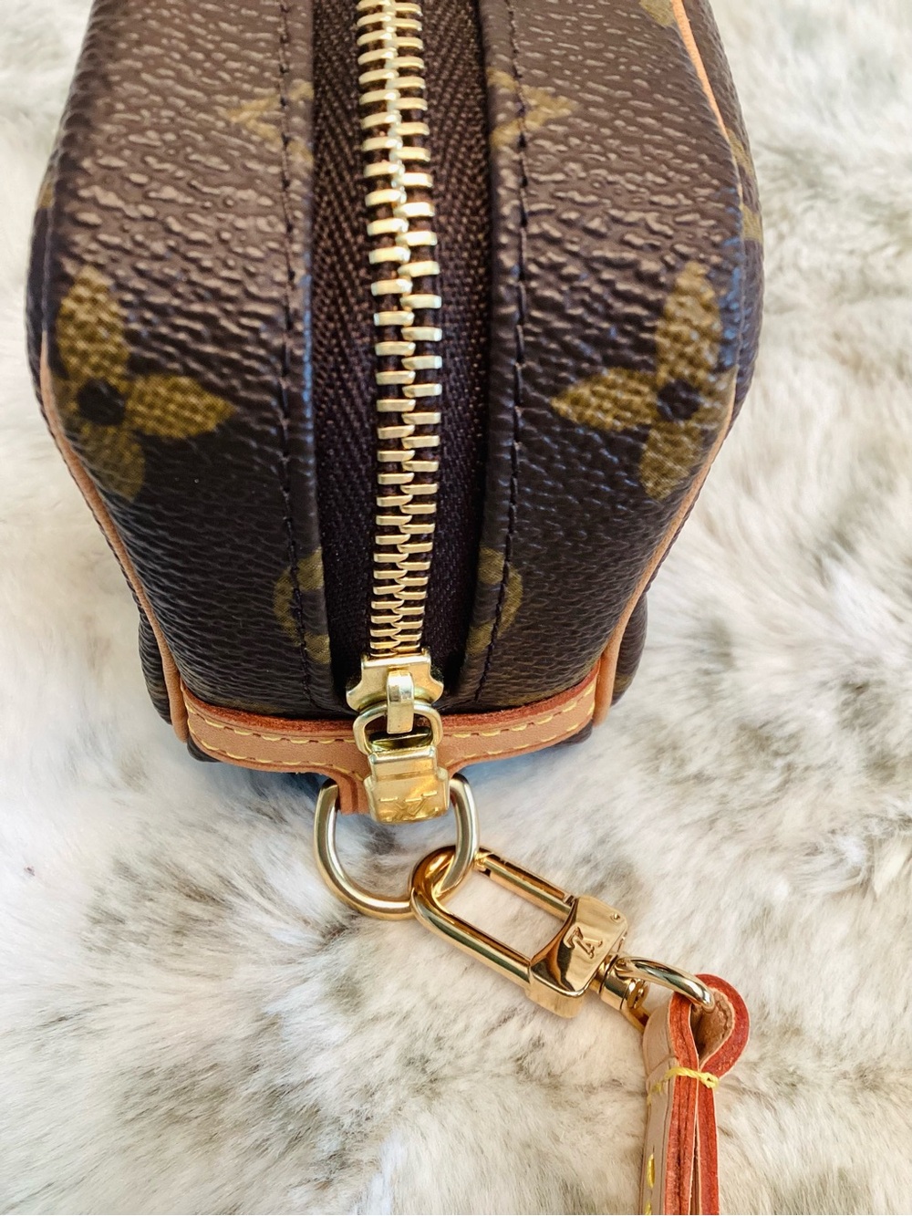 Louis Vuitton Trousse Wapity Pouch - Picture 6 of 10